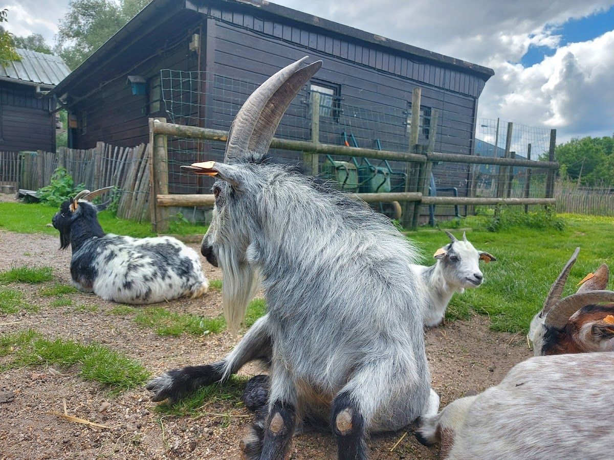 Dierenpark Bilzen