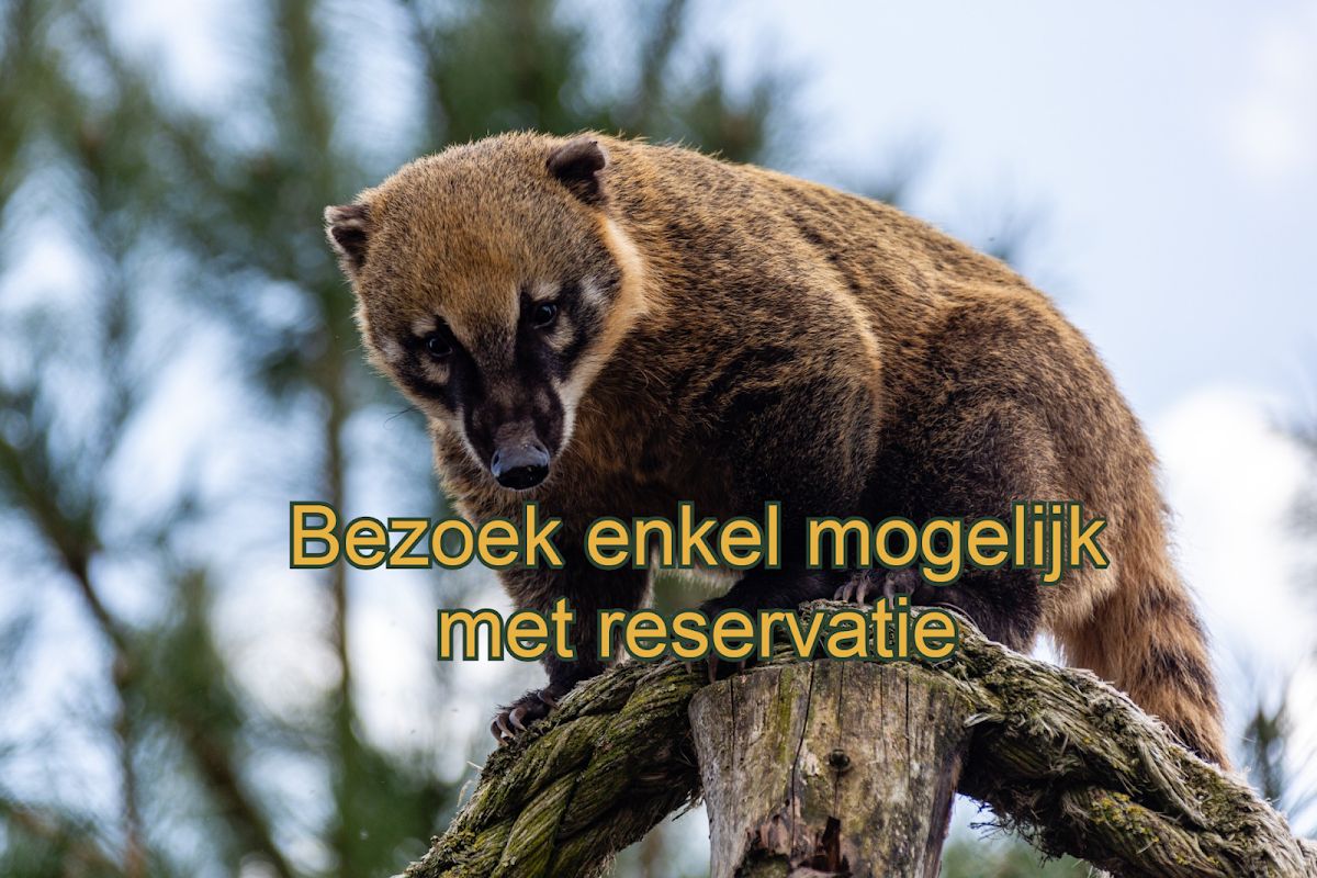 Dierenpark de Zonnegloed
