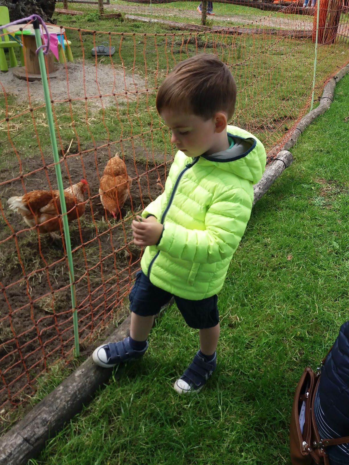 Kinderboerderij Bokkeslot