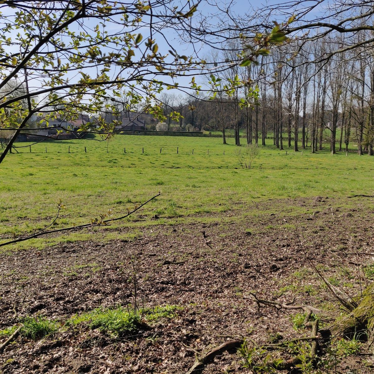 Nationaal Park Hoge Kempen