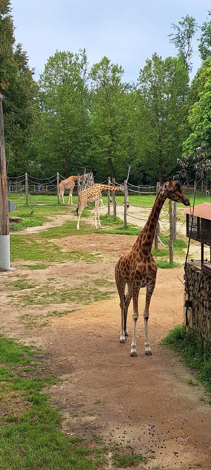 Dierentuin Mechelen Elk weekend open